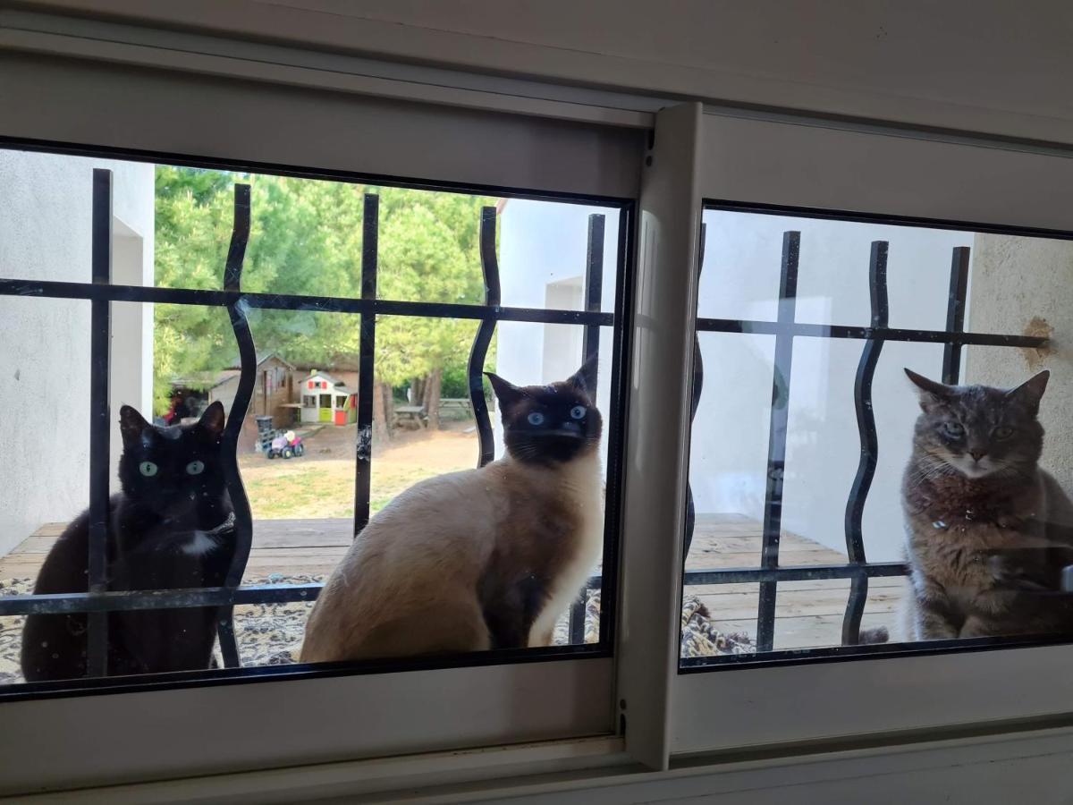 Apartmán Oxpira Palaja Exteriér fotografie